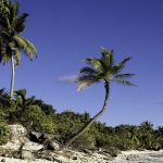 Cocos (Keeling) Islands Costs & Budget Guide (2026)